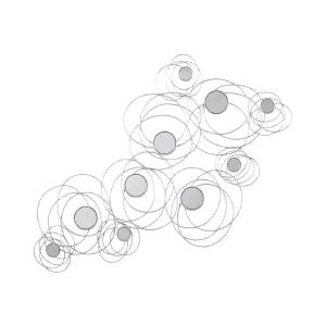 مرايا ديسي اشلي